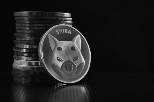 Shiba Inu Eyes Récupération après une récente correction