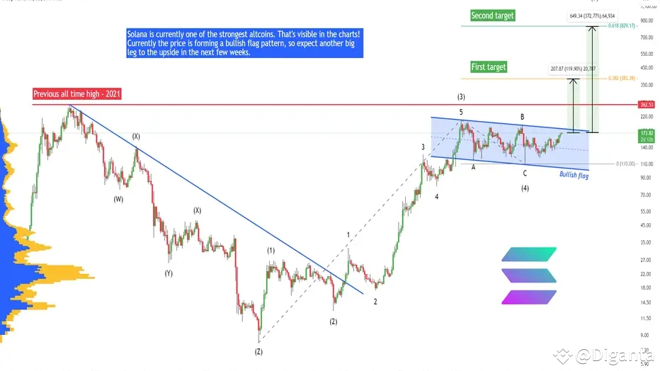 Solana: A Bullish Flag Pattern and Potential Upside