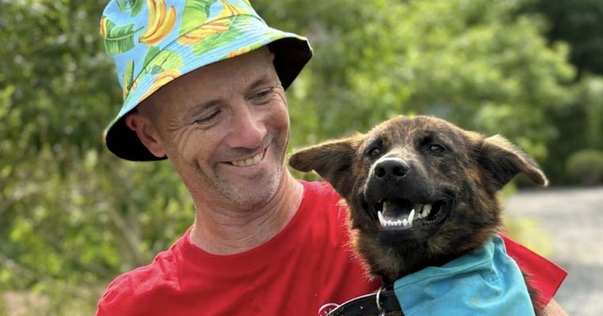 Un ancien chien errant qui apportait chaque jour des cadeaux à un homme est maintenant prêt à être adopté