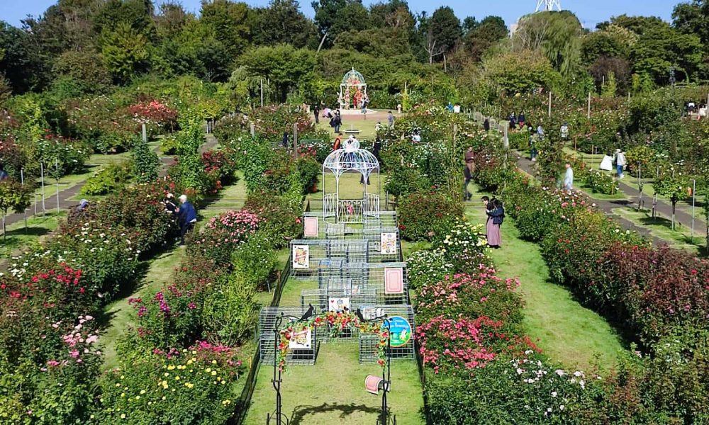 Jardin des roses Keisei (Keisei Baraen)