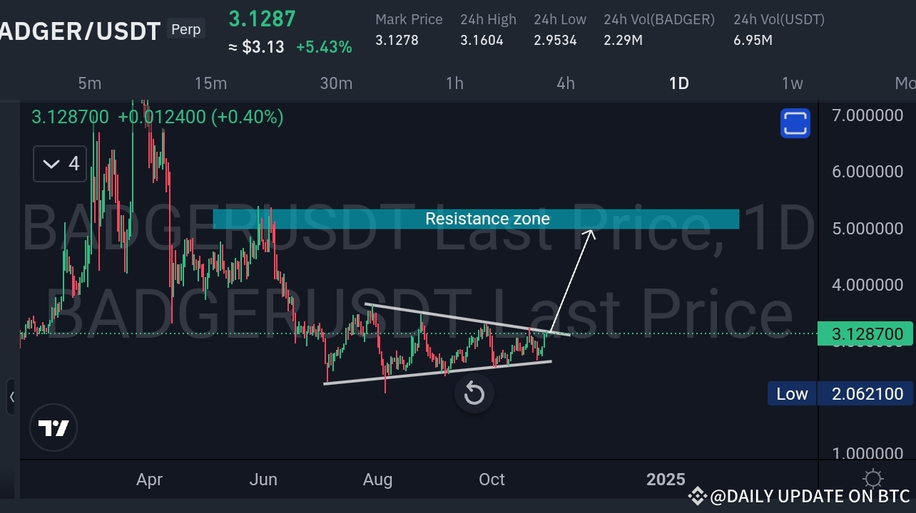 BADGER/USDT 분석 및 거래 설정