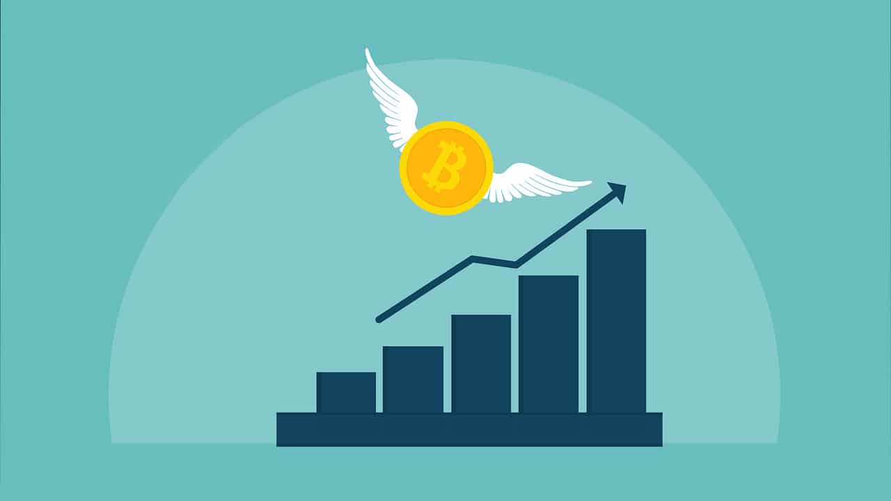 Bitcoin (BTC): What is the Maximum Value BTC Will Ever Reach?