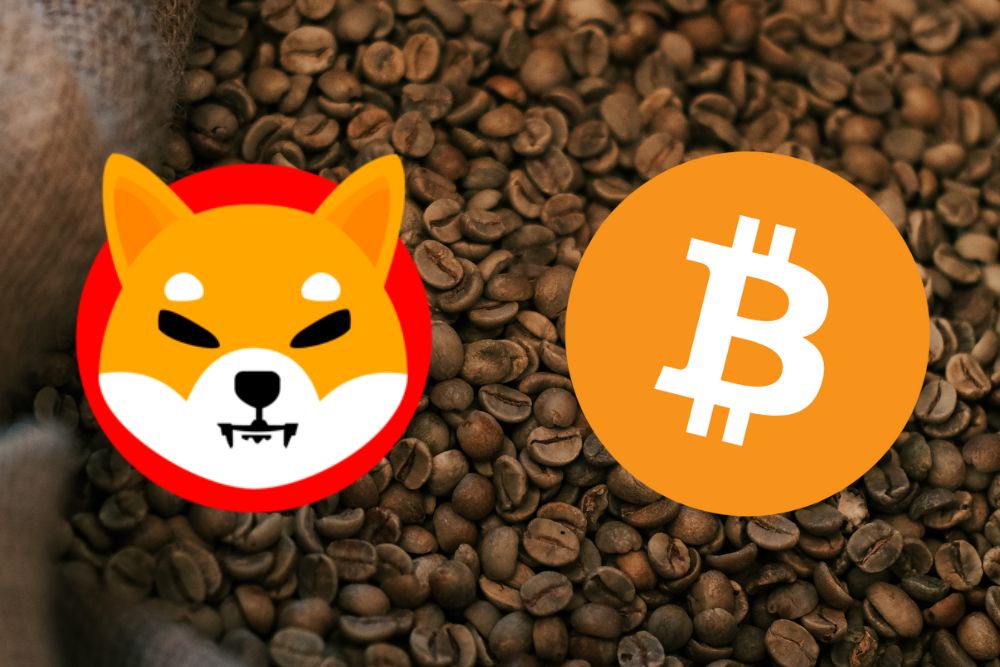 Shiba Inu entkoppelt sich von Bitcoin und zeigt trotz Marktvolatilität unabhängige Preisbewegungen