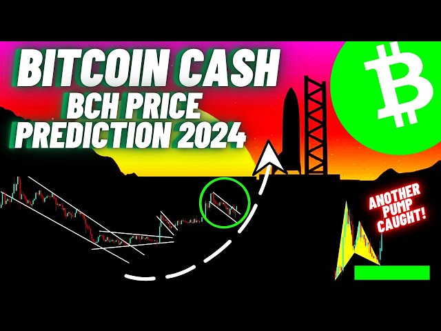 比特幣現金 (BCH) 加密貨幣更新！