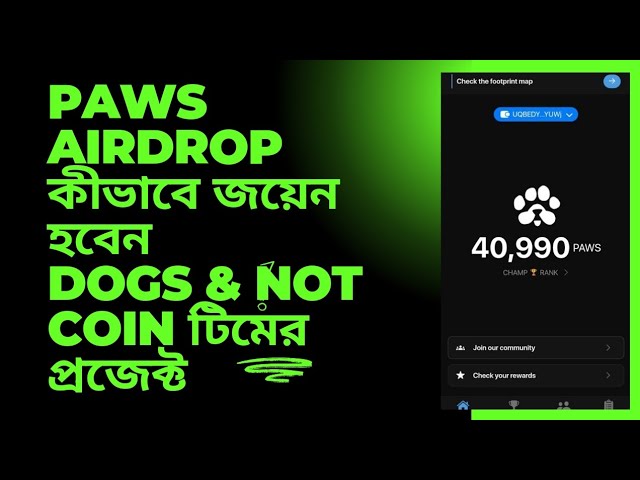 コインチームプロジェクトではなく、PAWS AirDrop Dogs に参加する方法