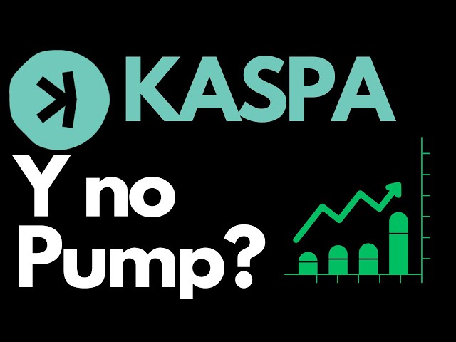 Kaspa And no pump? #case #case #krc20 #casecoin