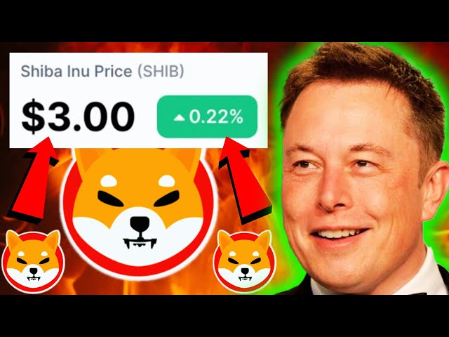 SHYTOSHI JUST REVEALED THIS 7 DAY PLAN FOR SHIBA INU COIN TO HIT $3!! - SHIBA INU COIN PREDICTION