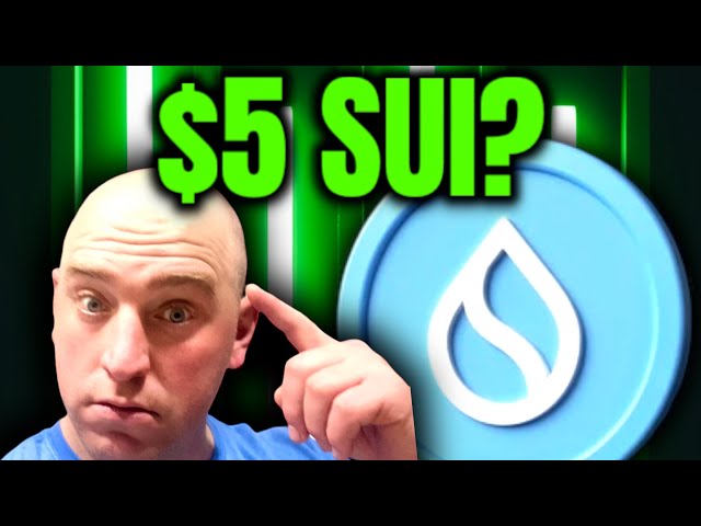 SUI Coin 20 % de hausse ! Prochain arrêt à 5 $ SUI ?