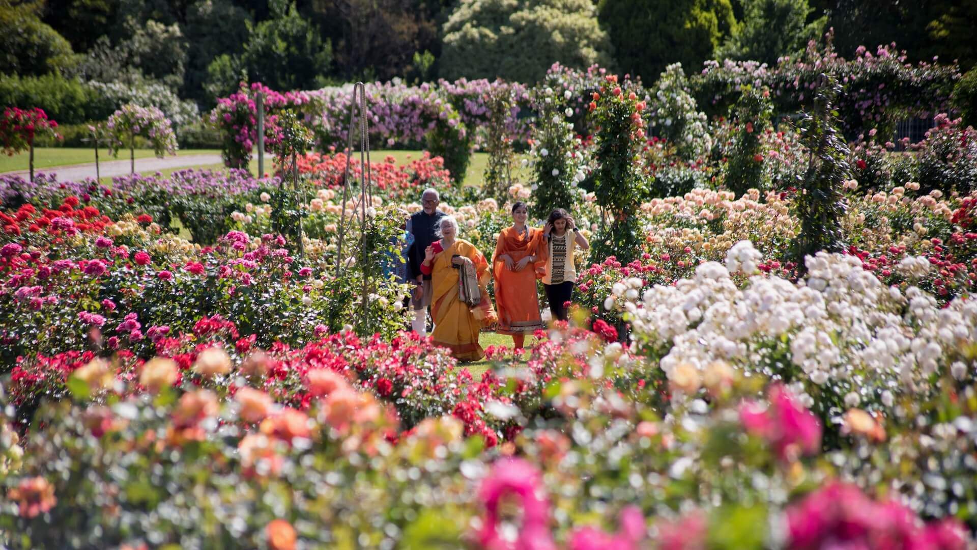 Le Victoria's State Rose & Garden Show devrait fleurir ce week-end