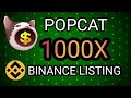 POPCAT COIN 100$ SOON ? BITCOIN ONE SIDE ANALYSIS IN HINDI | USA NEWS