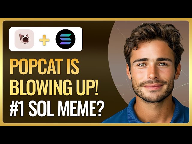 從 0 美元到歷史新高：Popcat 如何主導 Solana 的 Meme 幣市場