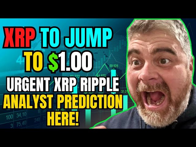 Ripple XRP 11월 4일에는 DAVID SCHWARTZ가 미국의 BLACK SWAN을 확인했습니다!