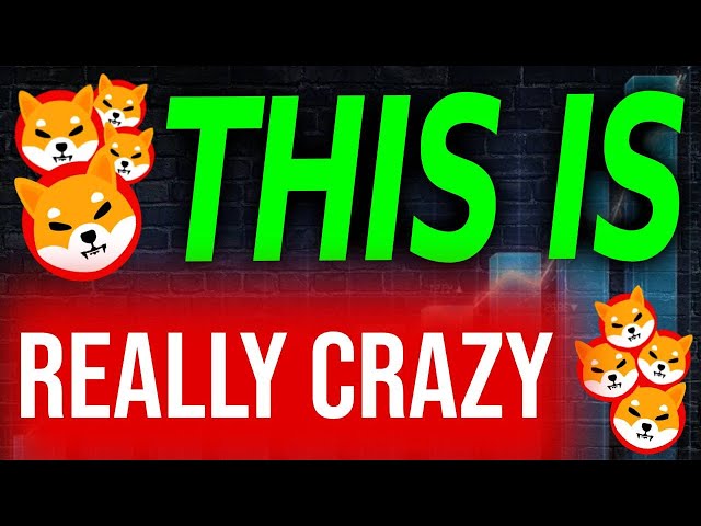 SHYTOSHI JUST REVEALED HIS REAL IDENTITY!! SHIBA INU GOING TO GO PARABOLIC!! - SHIBA INU COIN NEWS