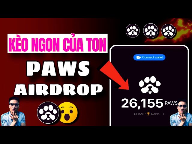 L'équipe Ton Coin développe un nouveau projet sur Telegram : Paws Are Ton's #paws #moonbix #major #memefi