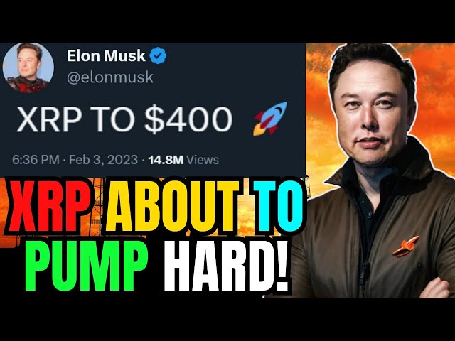 XRP – ELON MUSK & TESLA HABEN DIE WELT schockiert!