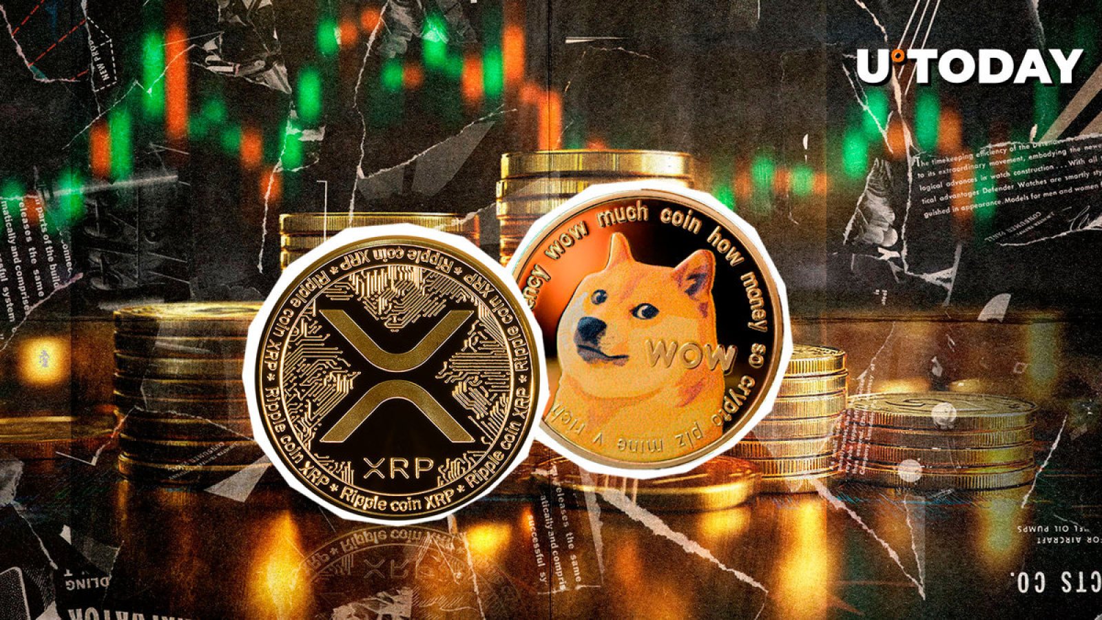 DOGE、XRP、XMR：您意想不到的加密货币领域的最大赢家