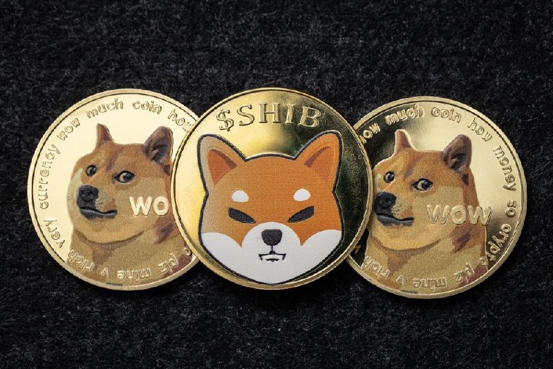 Dogecoin vs Shiba Inu : ChatGPT-4 choisit la meilleure pièce Meme à acheter pour 2025