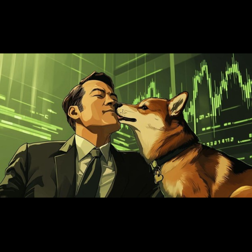 DTX Exchange est sur le point d’augmenter comme Dogecoin l’a fait en 2021