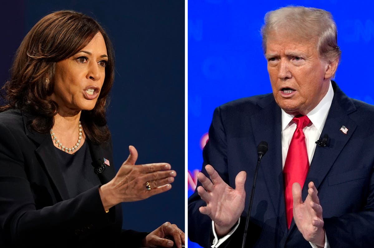 US election results so far as Trump and Harris race for White House - live