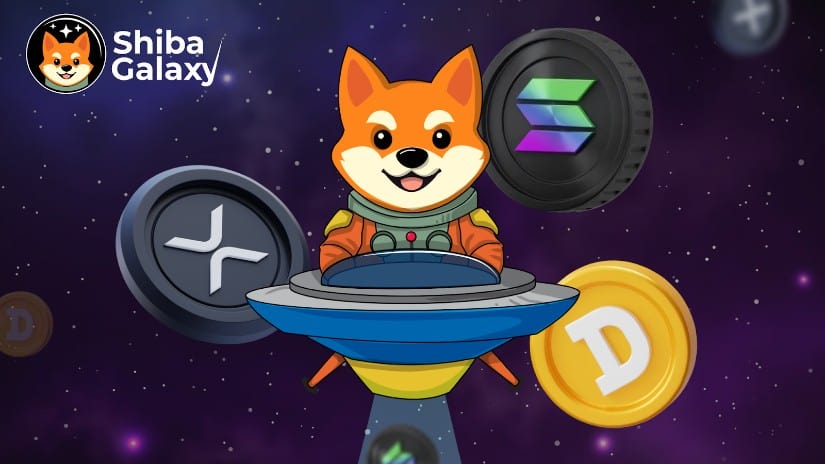 Shiba Galaxy : la pièce de monnaie qui brise le moule