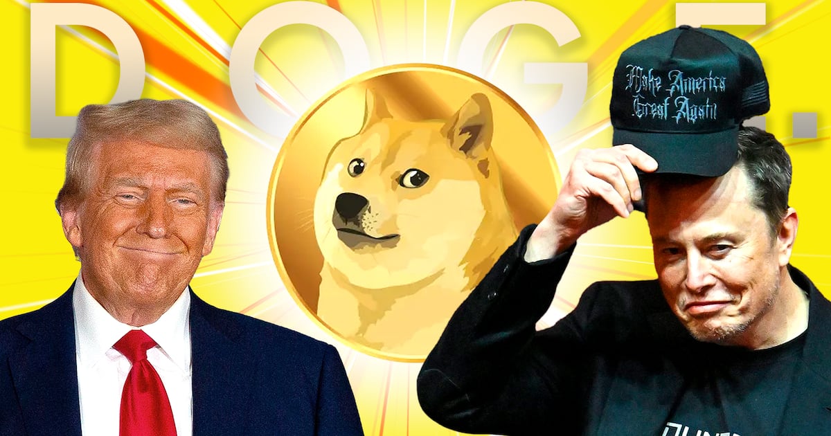 Elon Musk to Head 'Department of Government Efficiency,' or DOGE, in New Trump Administration