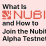 So nehmen Sie am Nubit Alpha Testnet teil