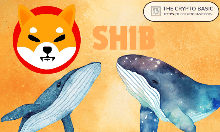 Intrigue Envelops Shiba Inu Community as Whales Send 1.67 Trillion SHIB Tokens to Coinbase