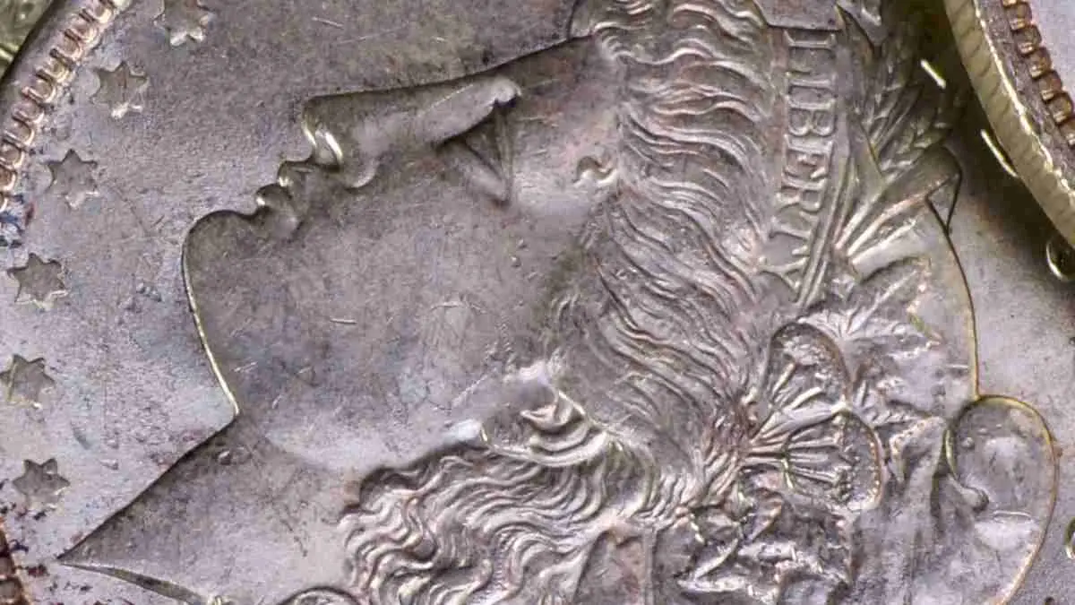 Ensemble de deux pièces inversées Morgan and Peace Dollar 2024 : un incontournable pour les amateurs de pièces de monnaie