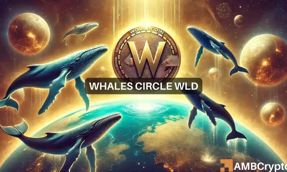 Pic des volumes de baleines de Worldcoin (WLD), suggérant qu'un renversement de tendance pourrait être imminent