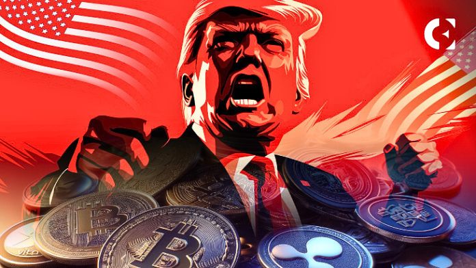 Trump’s Election Win Triggers Bullish Trend in the Crypto Market, Driving Gains Across Multiple Digital Assets