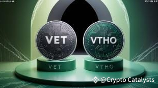 비트코인(BTC)이 사상 최고치를 경신하면서 비체인(VET)과 비토르(VTHO)가 돌파를 앞두고 있다