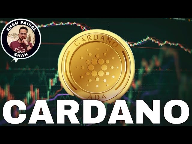 2024년 11월 12일 기준 Cardano(ADA) 코인 가격 예측