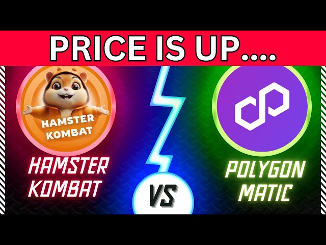 HMSTR vs. Polygon (MATIC): Deep Dive into Price History, Market Analysis, and Bull Run Strategies! 🚀