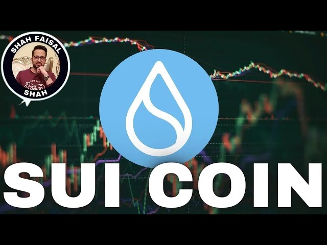 2024년 11월 12일 현재 Sui Coin (SUI) 가격 예측