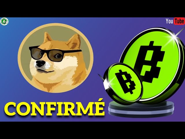 $DOGE COIN – BLUM が確認されました