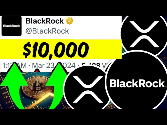 リップル XRP - ウォール街があなたの XRP に注目しています! (BLACKROCK は 10,000 ドルの評価額を予測しています!)