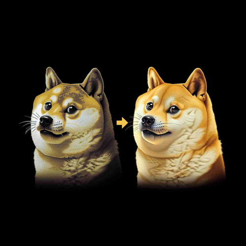 The Rise of Dogecoin: From Internet Joke to Serious Financial Contender