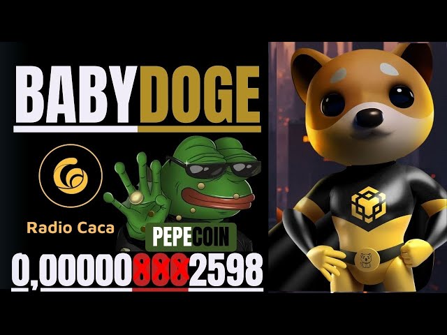 🔥ベビードージコイン // ペペとラジオカカ + 柴犬をチェックアウト🔥#babydogecoin #shib #pepe #babydoge