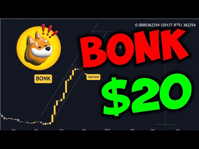 $BONK HOLDERS NEED TO WATCH THIS! | HUGE PUMP COMING | $BONK PRICE PREDICTION 2025!