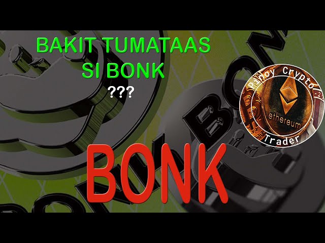 BONK Meme 코인이 상승하는 이유는 무엇입니까?