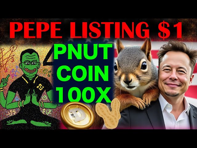 파괴! 코인베이스에 PEPE 상장 | BTC $100,000 랠리 | PNUT 코인 100X | DOGE $1 황소 랠리 업데이트