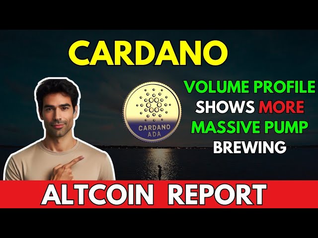 CARDANO：成交量显示更多泵酿造 ||卡尔达诺 ADA 分析和价格预测