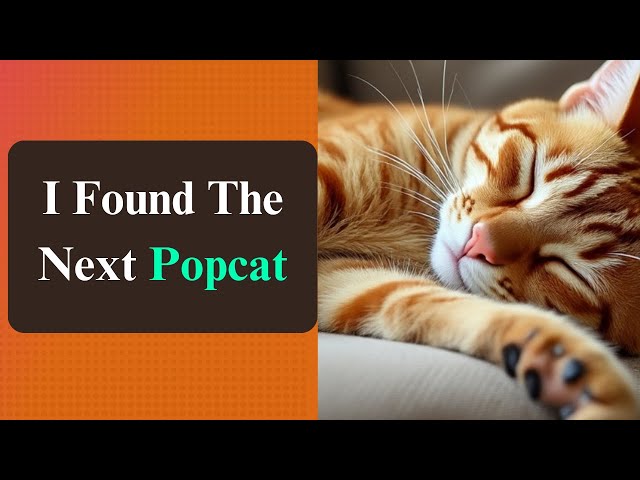 這些貓模因硬幣可能會像 Popcat 一樣爆炸