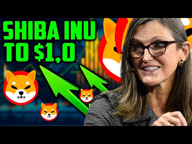 Cathie Wood on Shiba Inu Coin