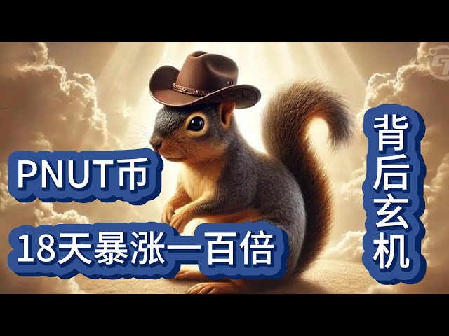 [币圈]Pnut暴涨百倍背后玄机