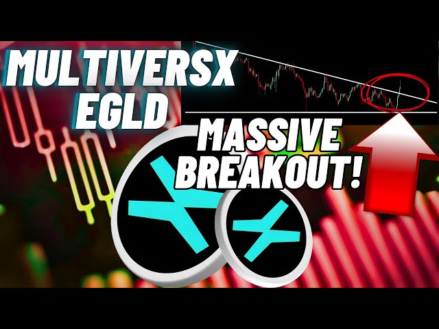 MultiversX(EGLD) 암호화 코인의 대규모 돌파