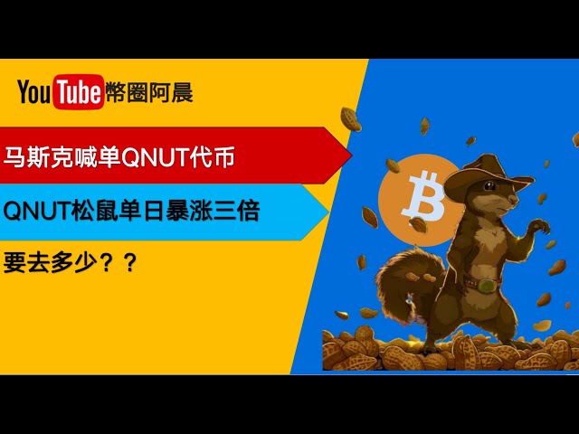 馬斯克喊單！ pnut松鼠代幣要去多少？阿晨線上直播第一期#okx #btc