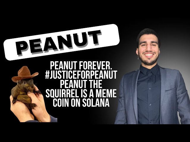 🥜 Peanut (PNUT) - 纪念松鼠 Peanut 的 Meme 硬币 🐿️ |硬币市值系列 Ep。 120