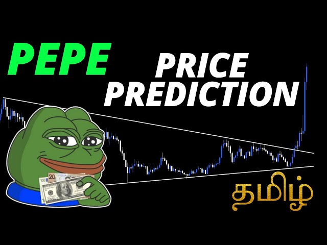 타밀어로 PEPE 코인 분석.. 정확한 항목..🚨