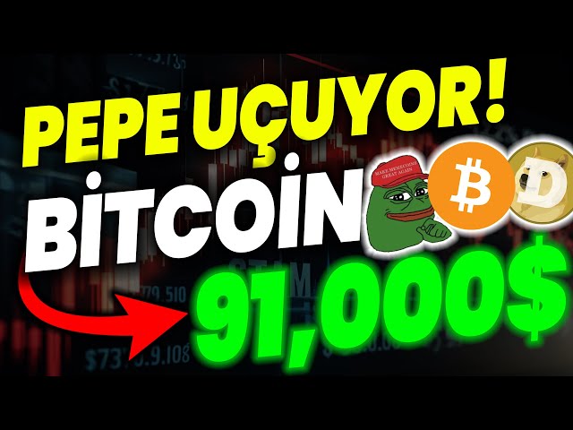 PEPE 코인이 날아갑니다 비트코인이 91,000달러입니다!! PEPE YUKSELİŞ BITCOIN ETH DOGECOIN #floki #dogecoin #shiba